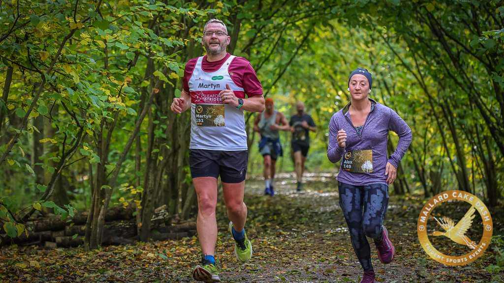 Two runners are seen participating in a race along a tree-lined path, surrounded by autumn foliage. One runner is wearing a red and white shirt, while the other is in a purple top, both displaying their race numbers.